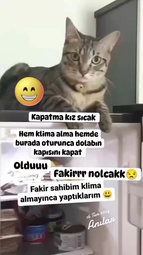 @gamzeli kızı 😊 minnoşlari