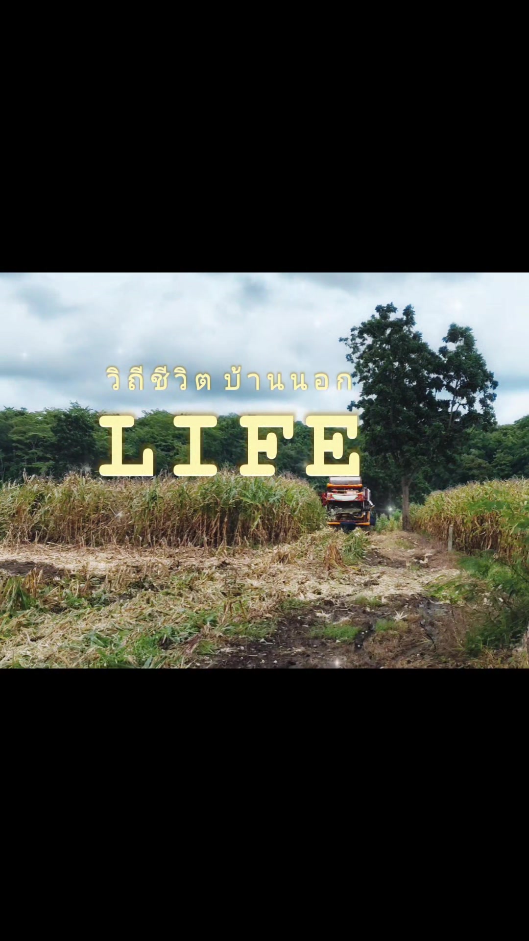@อ.เต้ย บึงสามพัน