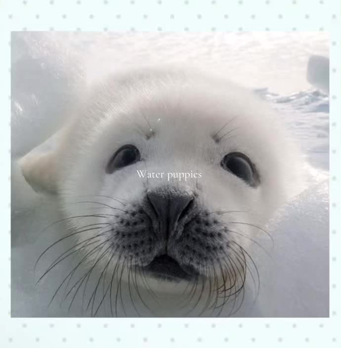 @ִֶָ۶ৎ˖.𝓒𝓱𝓮𝓻𝓻𝔂.𐙚&deg;₊