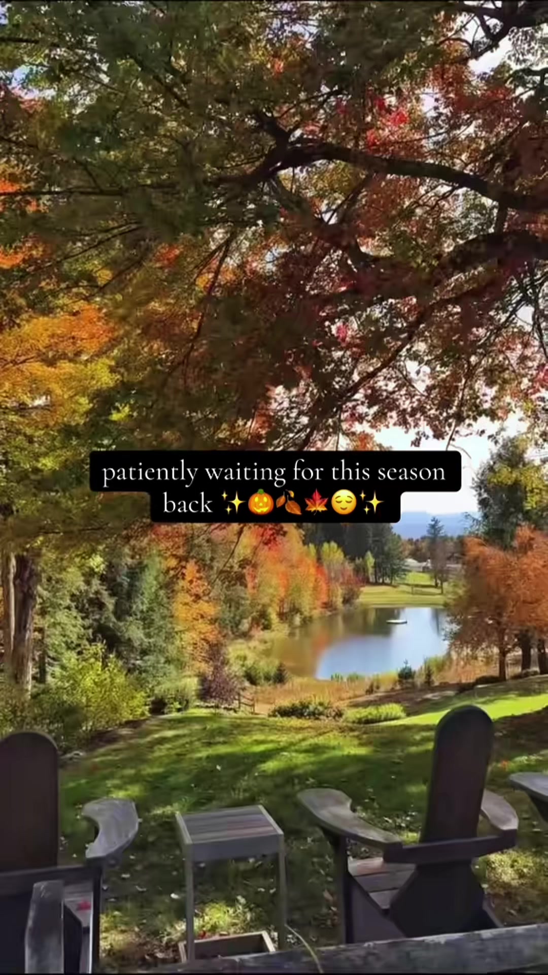 @SpookyCourage ✨🎃👻🦇🍁
