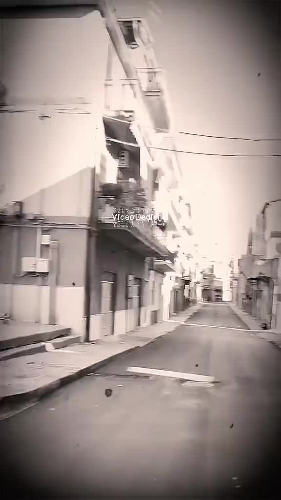 @๐๐ข๐๐๐จ๐๐๐๐ข๐๐ก๐