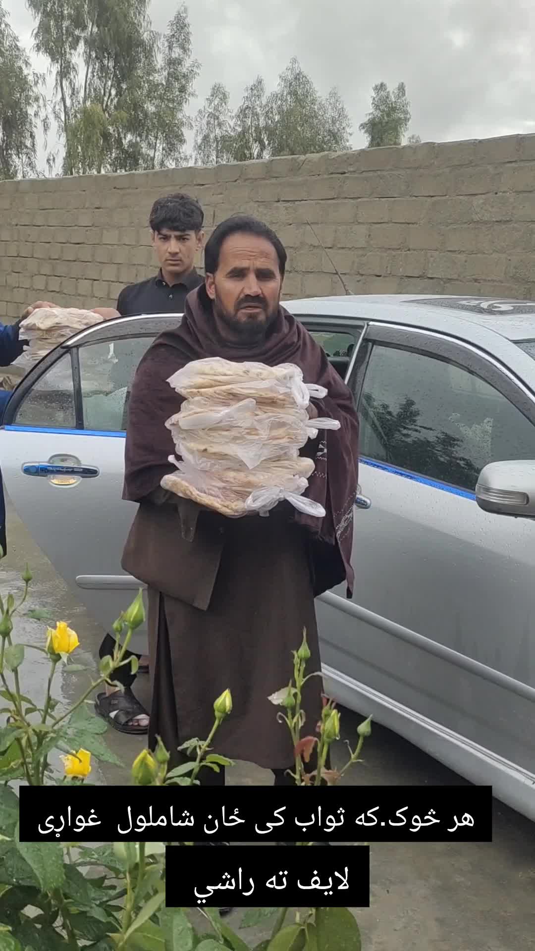 @majahidniazai