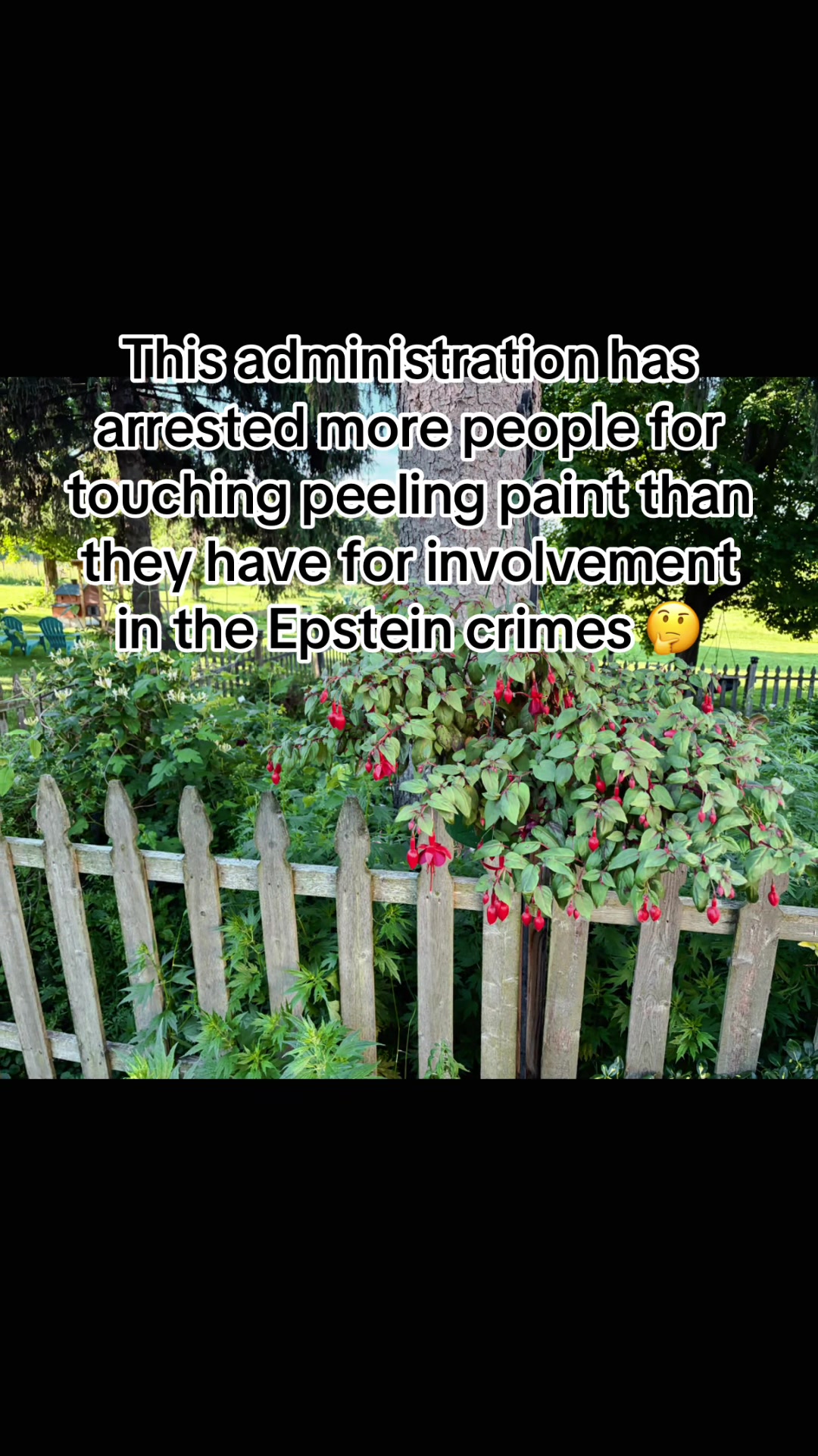 @Resistance Homesteaders
