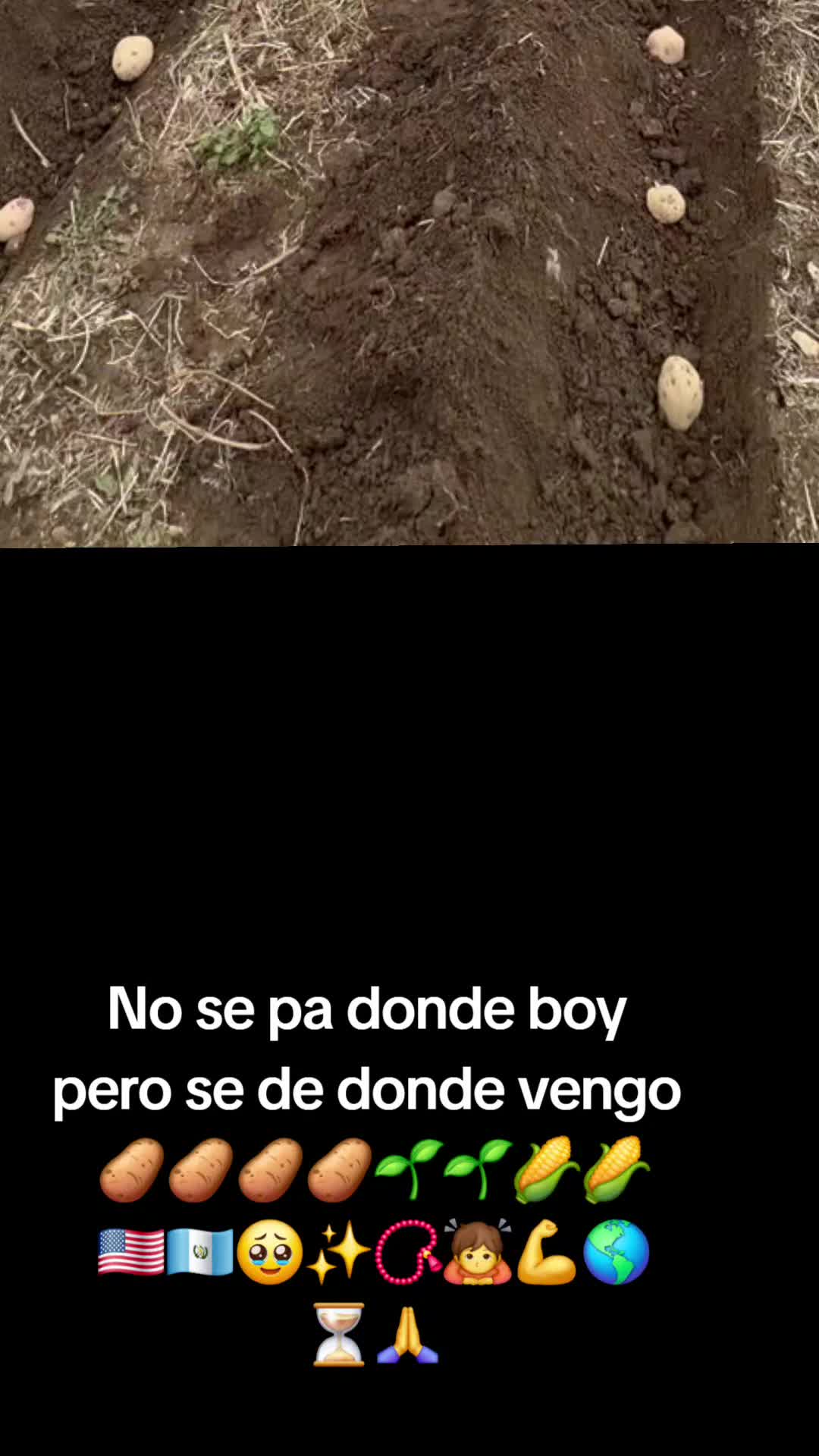 @🩵Luii502🩵🐬👨&zwj;🌾