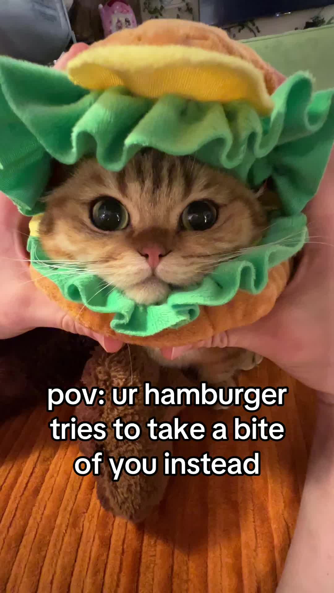 @honey butter chicken biscuit