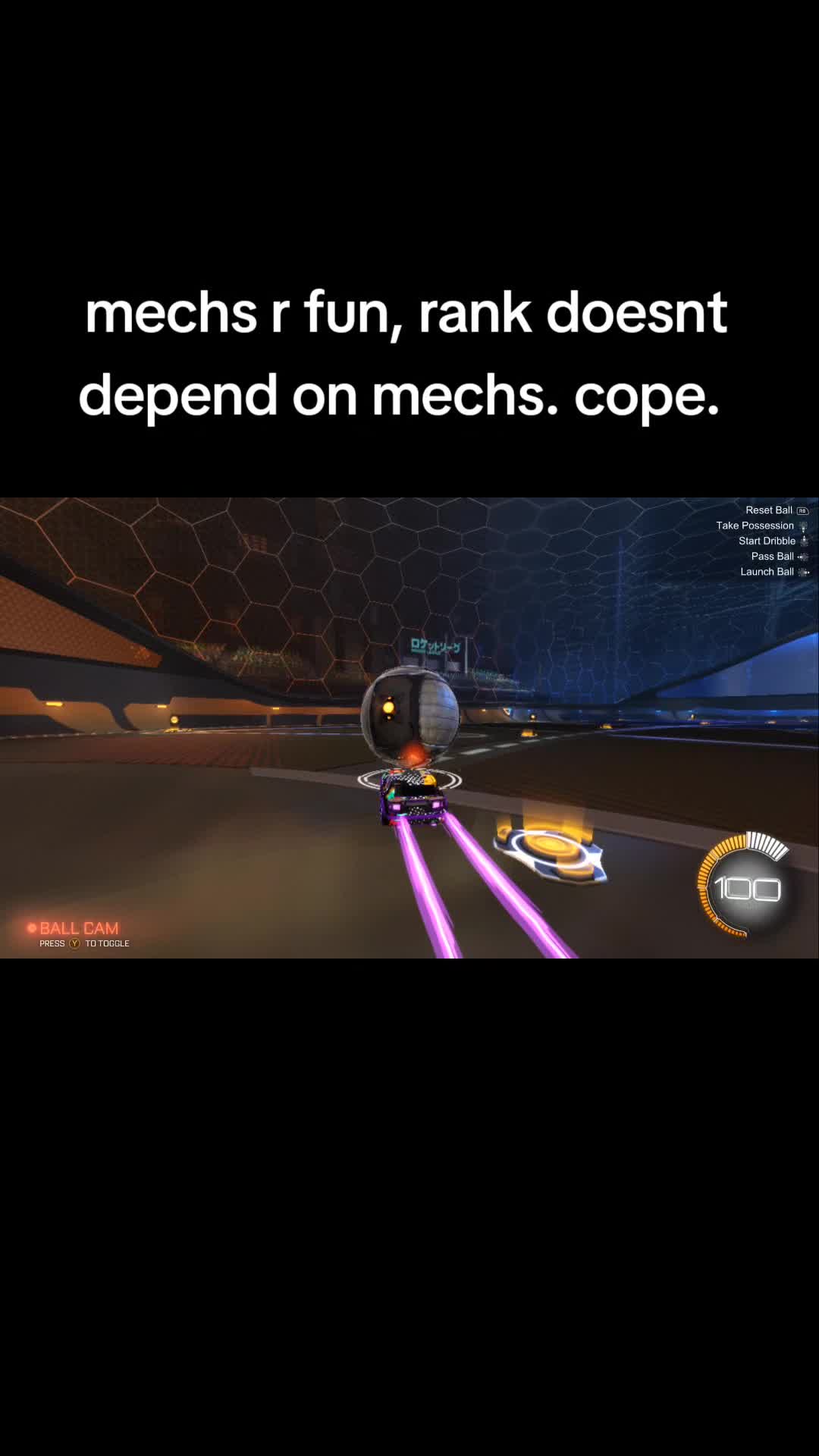 @That1BearGuy - RL