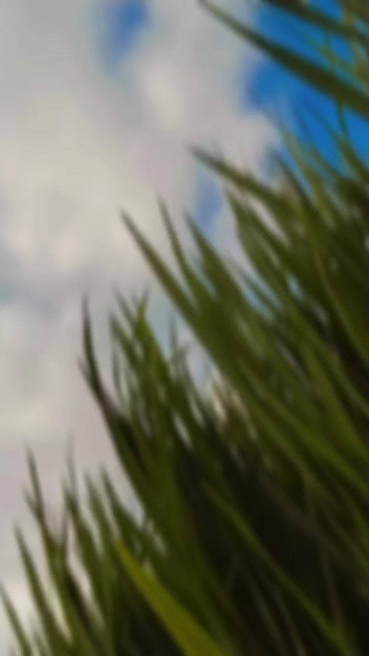 @đŧSmritysoudhađŧ