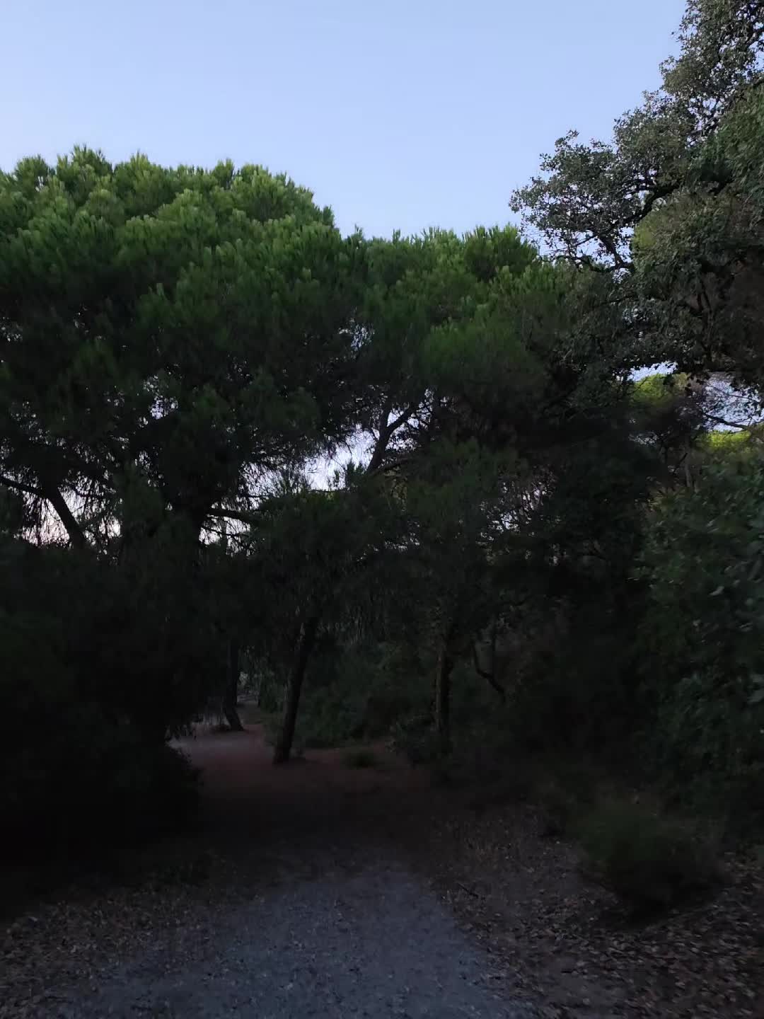 @Alessandro