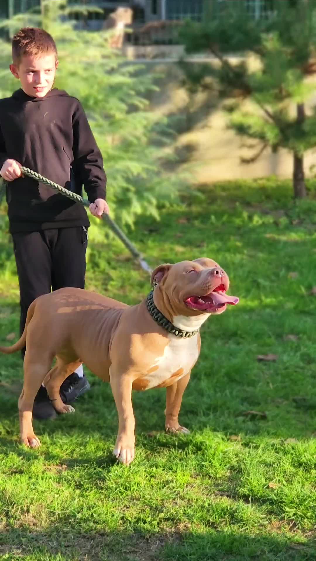 @serbianbully
