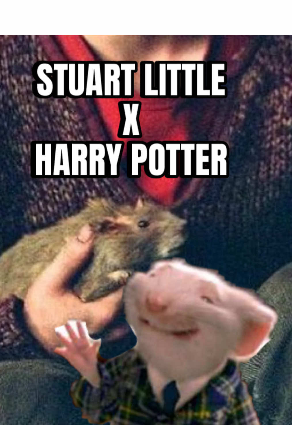 @XavierPirates