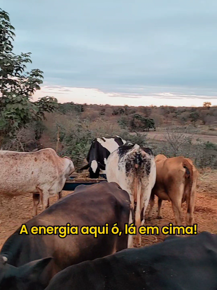 @Jardel Ferreira