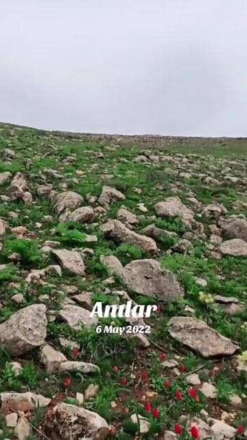 @abdulkadirgulerbjk