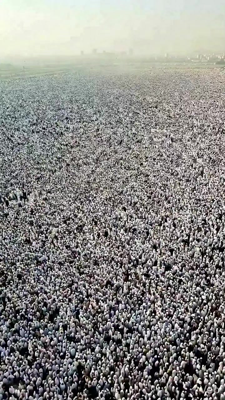 @✨Beauty of islam✨