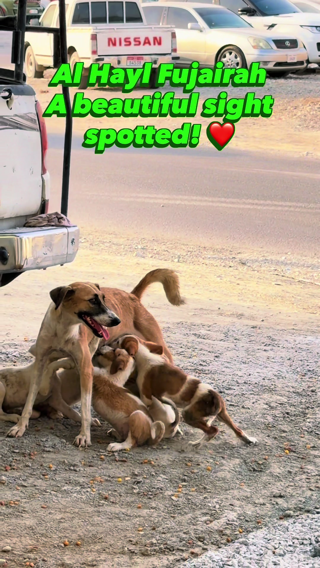 @Fujairah Lovers