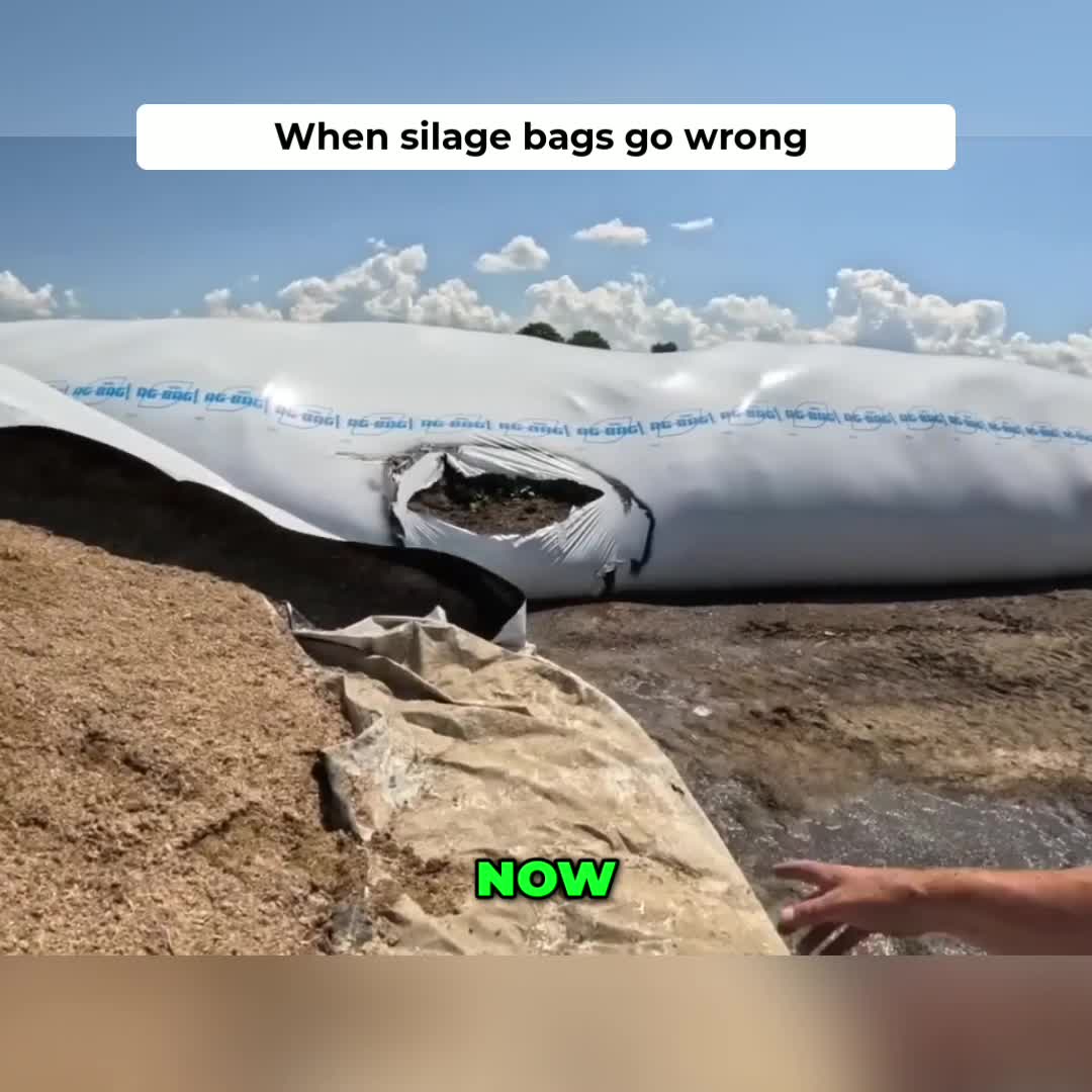 @Kip Siegler Farming