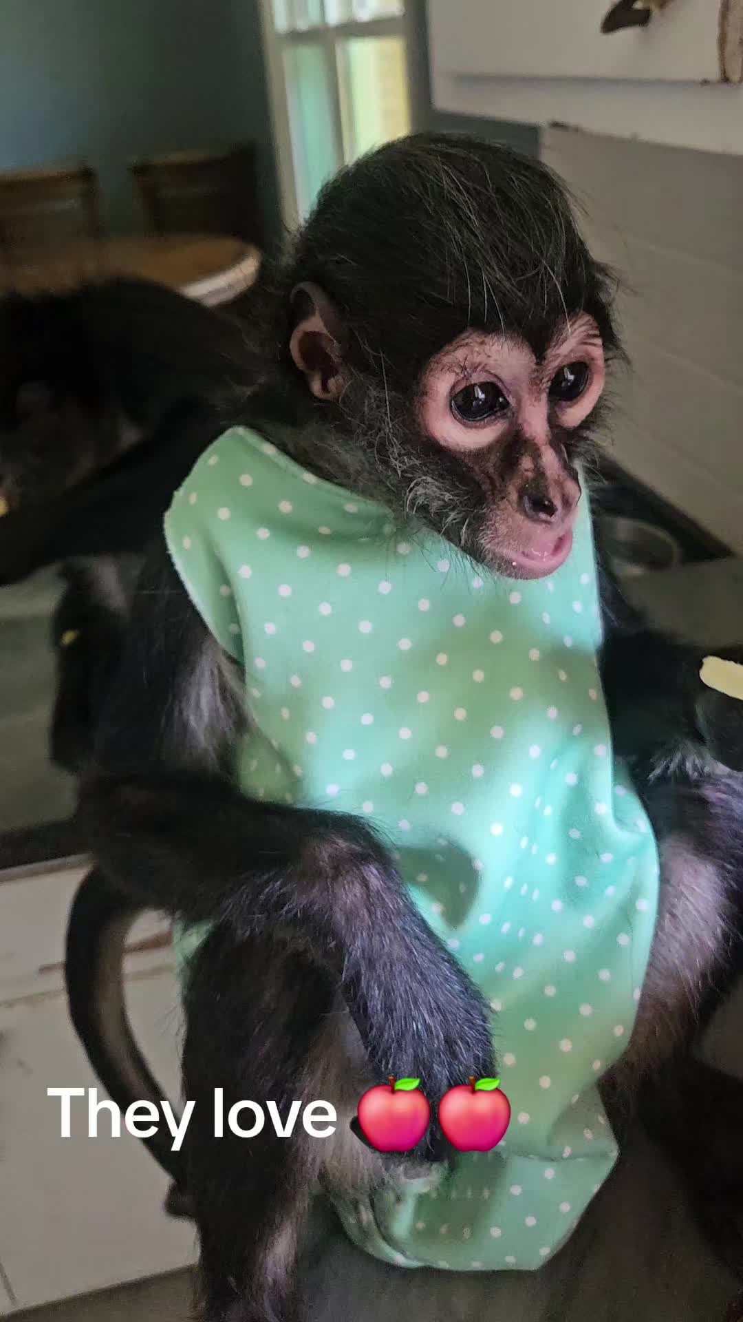 @It's🐵Monkey🐵Time🐵