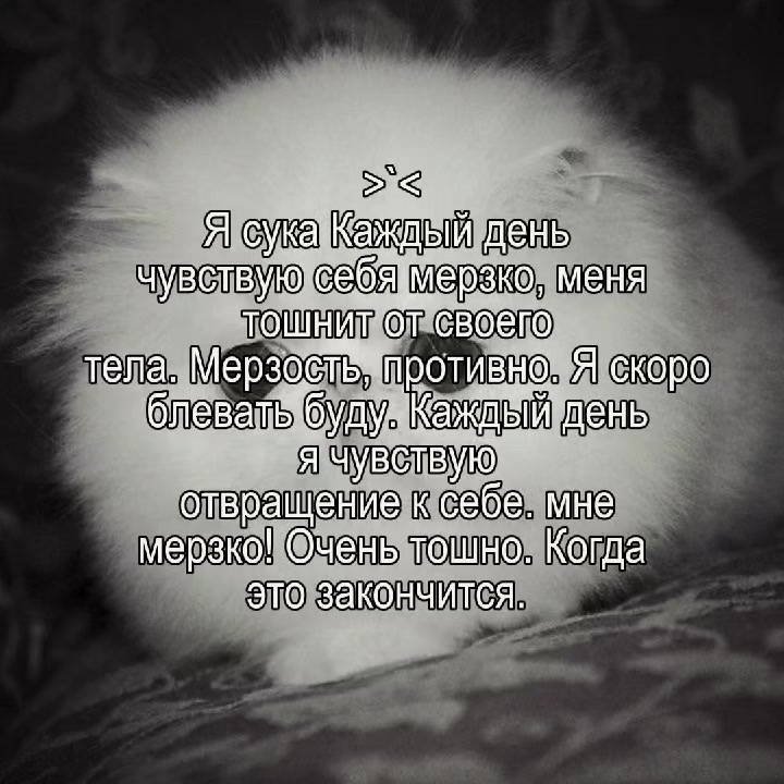 @Рикуся