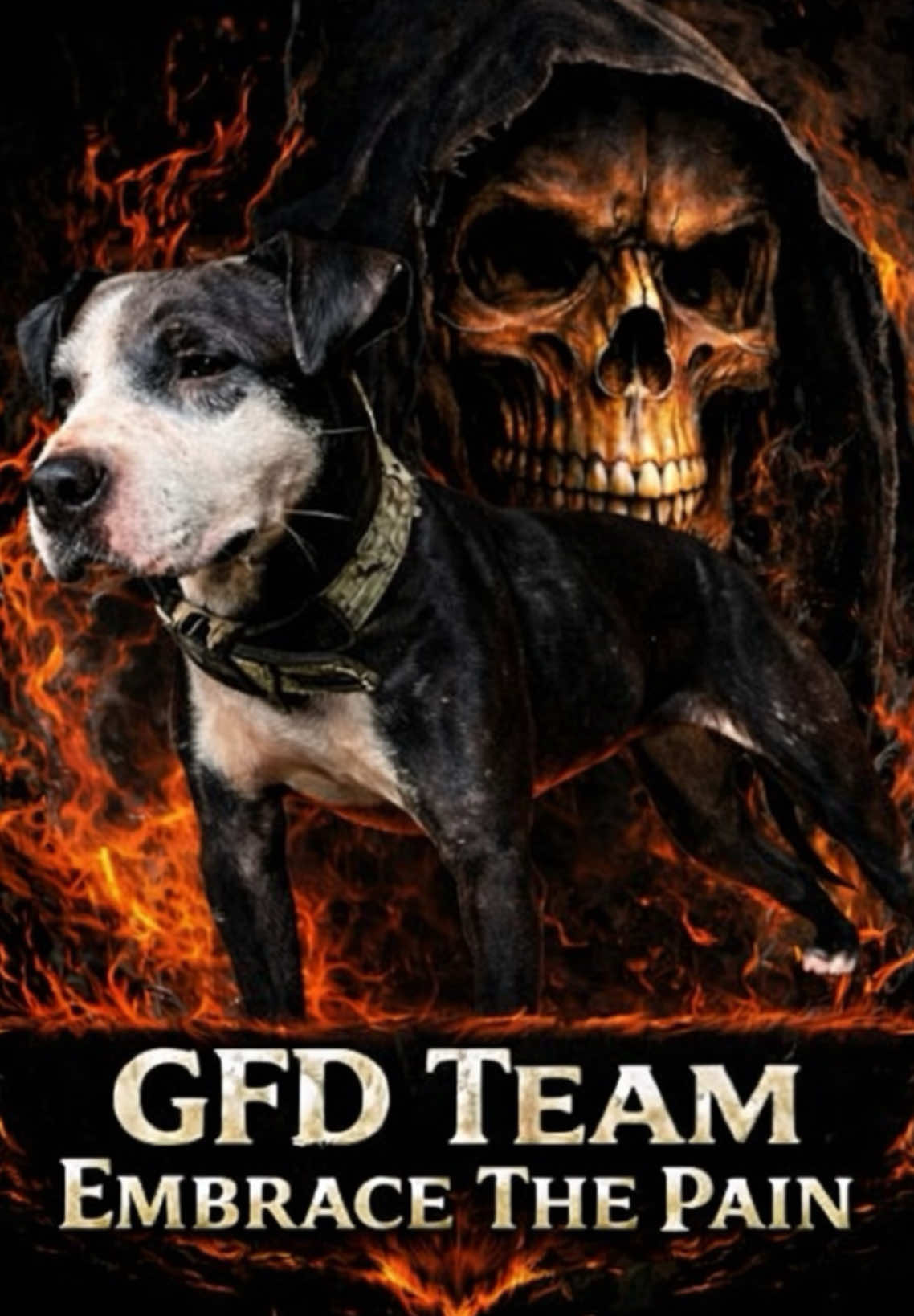 @GFD Team X Pitboys