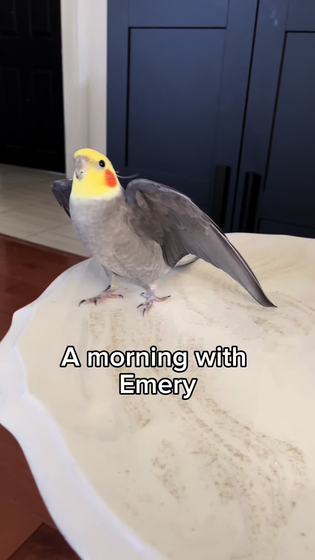 @Emery The Branch Manager