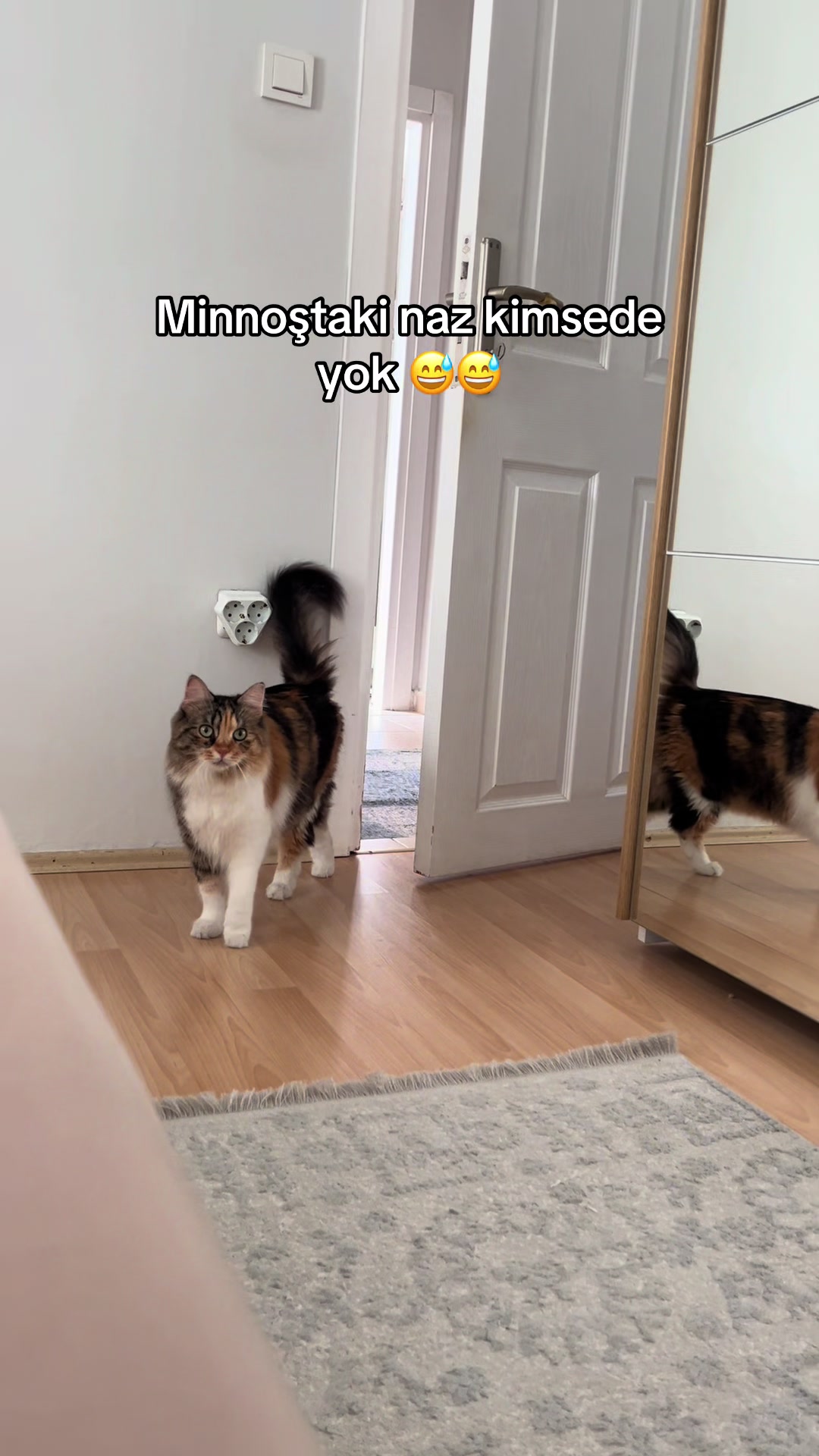 @konusankediminnos