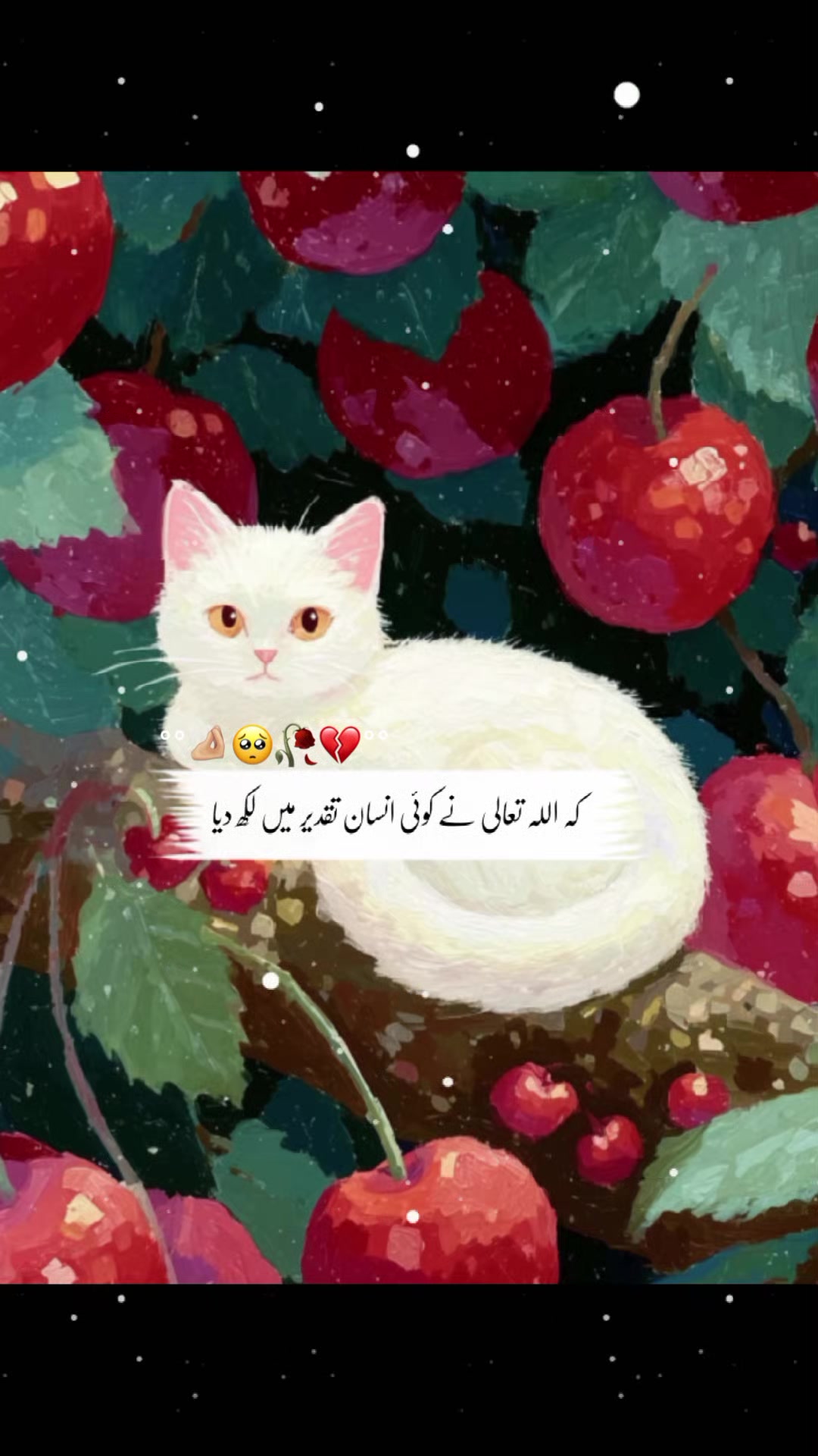 @👑Ayesha Saraiki 👑✨786