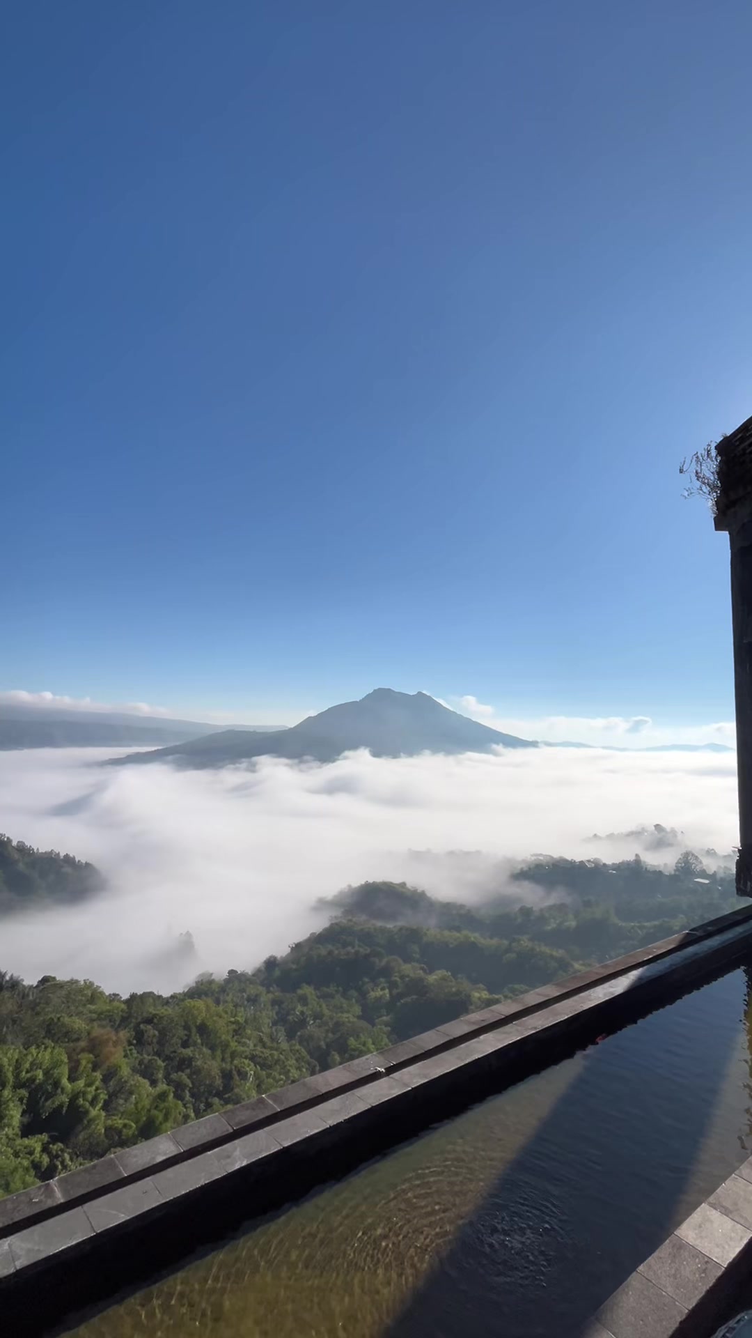 @Amora Kintamani