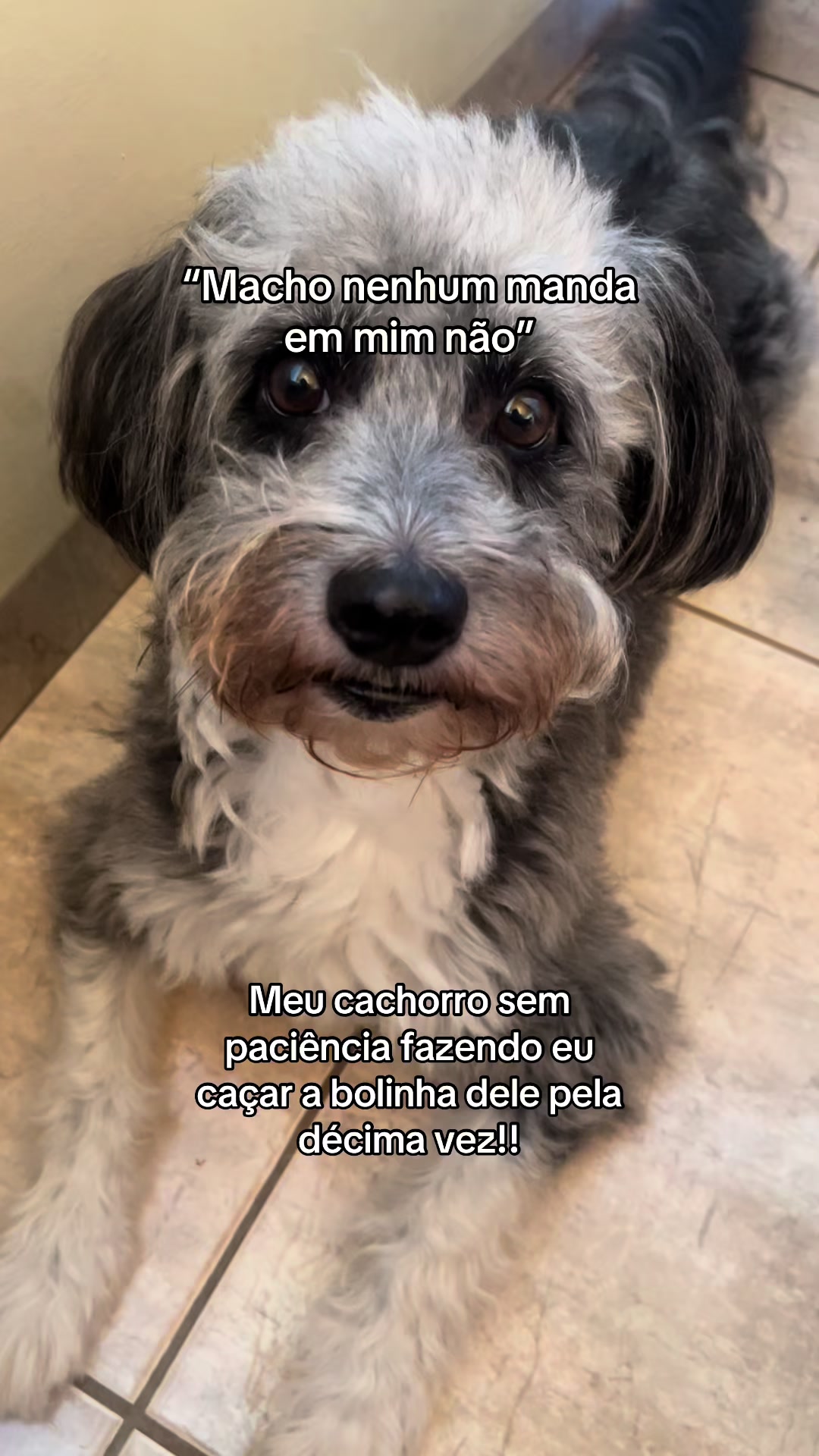 @Thalh&iacute;ta