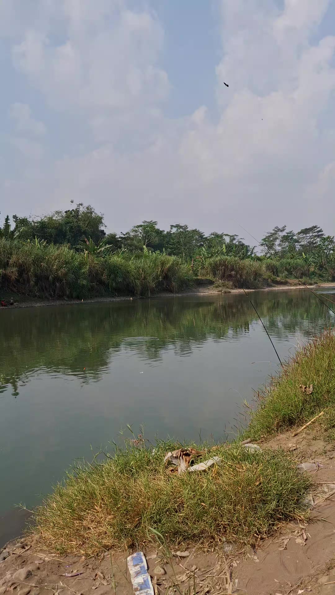 @Gasle Fishing