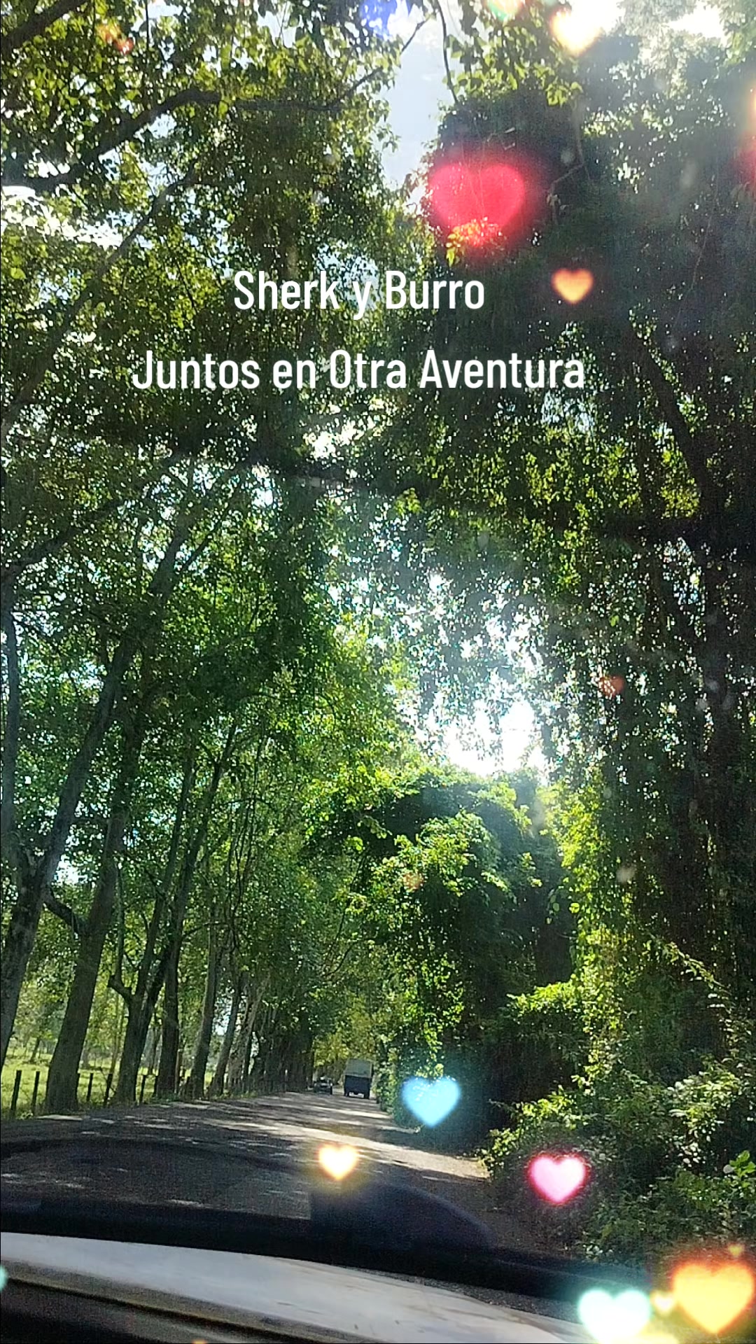 @Joseliin❤️
