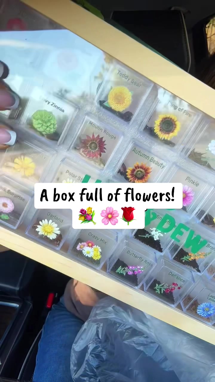 @Lu | TTS Mom Finds