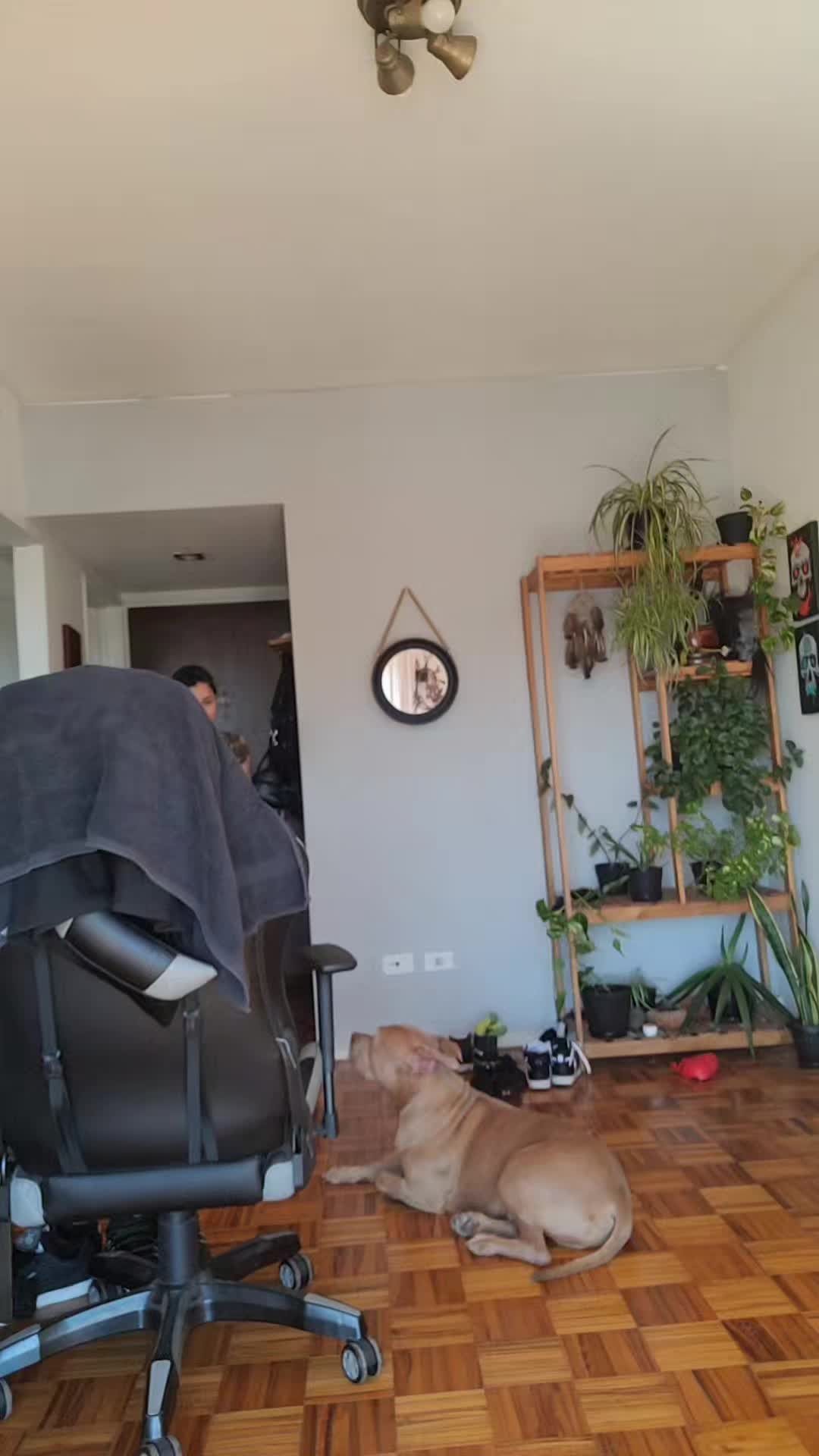 @Sami Gomita