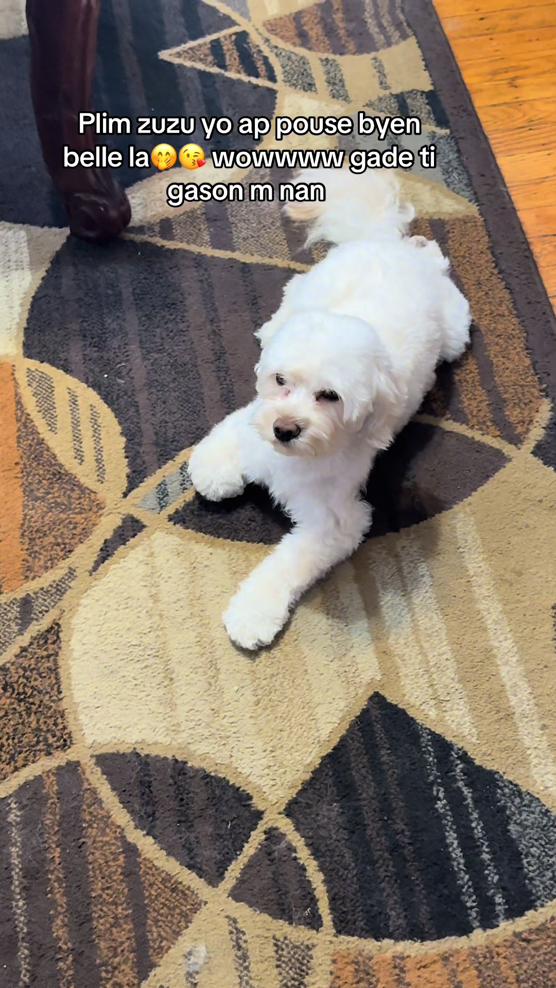 @˚.🎀༘⋆𝐐𝐮𝐞𝐞𝐧𝐂𝐚𝐬𝐬𝐨𝐮❤︎