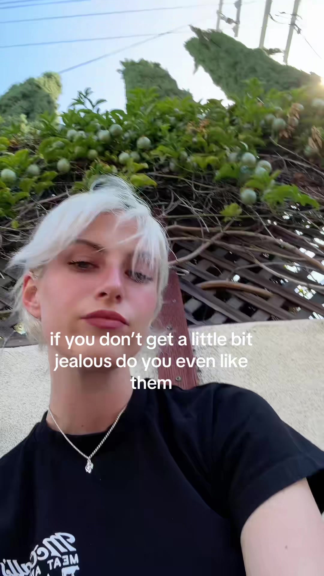 @h0llish0ward