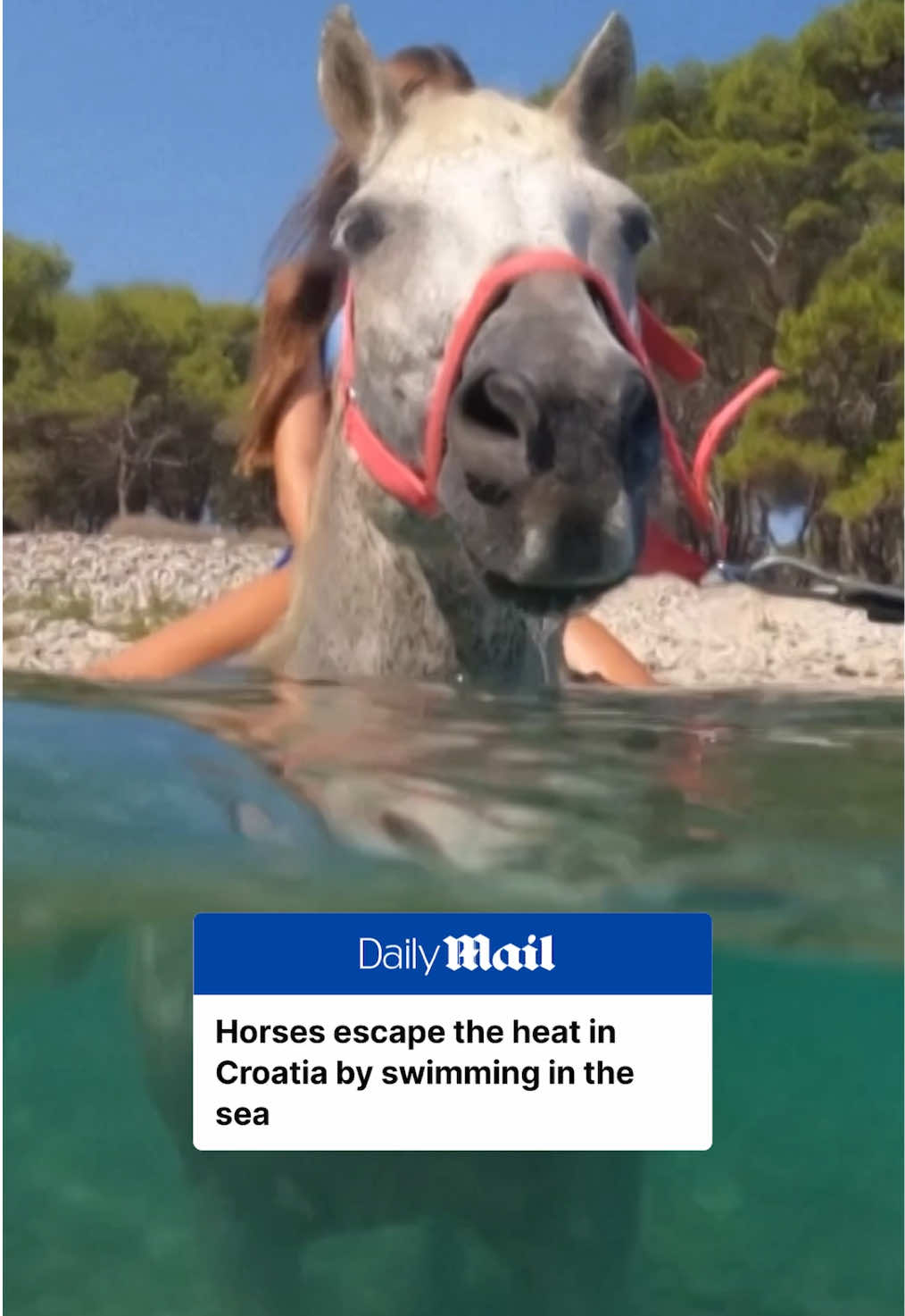 @Daily Mail Australia