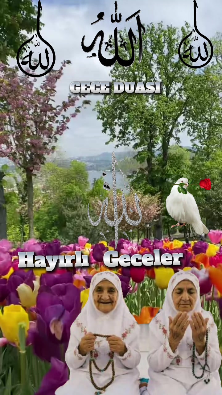 @🇹🇷҉͜͡✭DAMLA🦂GÜL🇦🇿҉͜͡✭