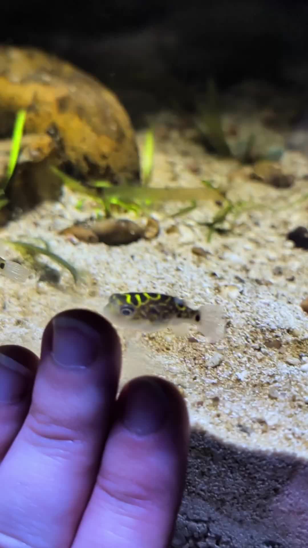 @San Antonio Aquarium