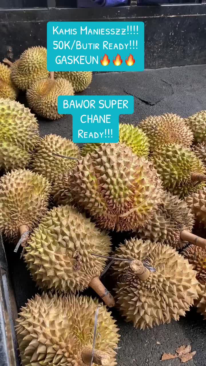 @Doyan Durian