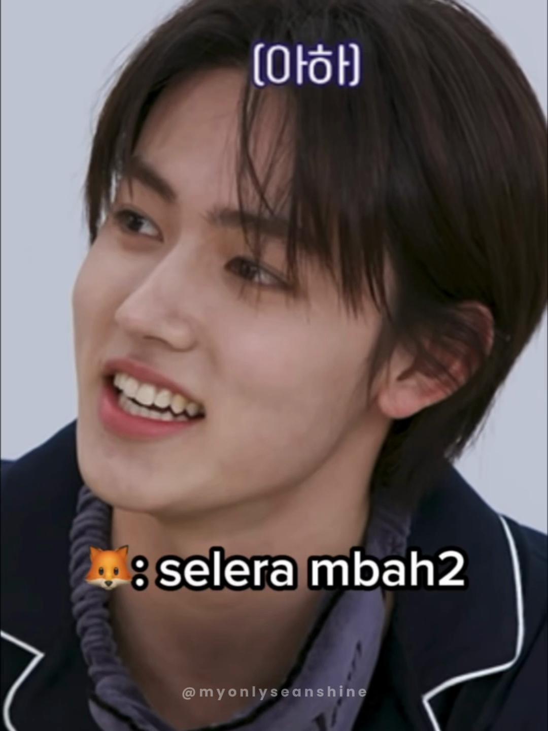 @seanshine 🦊