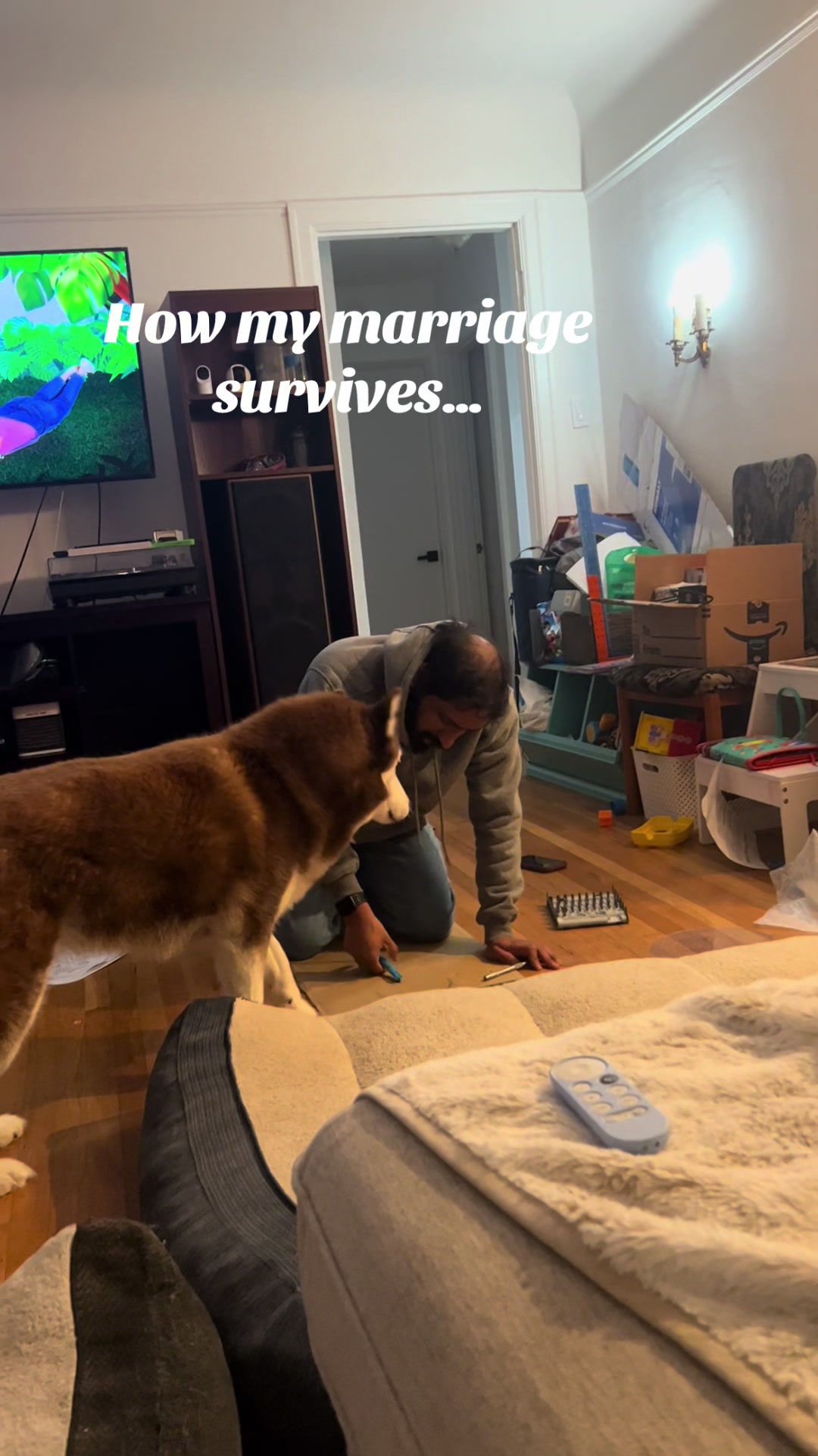 @wolfieworkingdogs