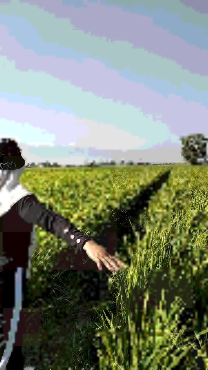 @ₐₙᵢQₑᵢₛₐ