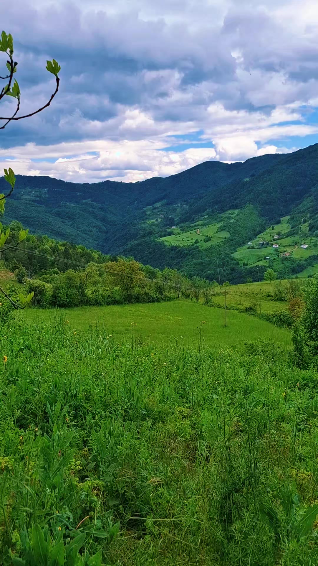 @&Ouml;zlem55🧿🔱