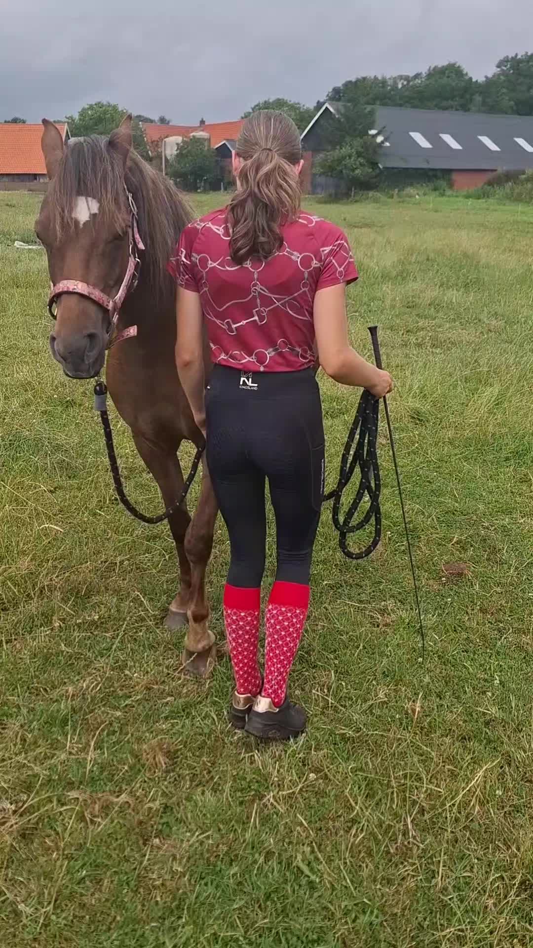 @horses.by.Britt:)