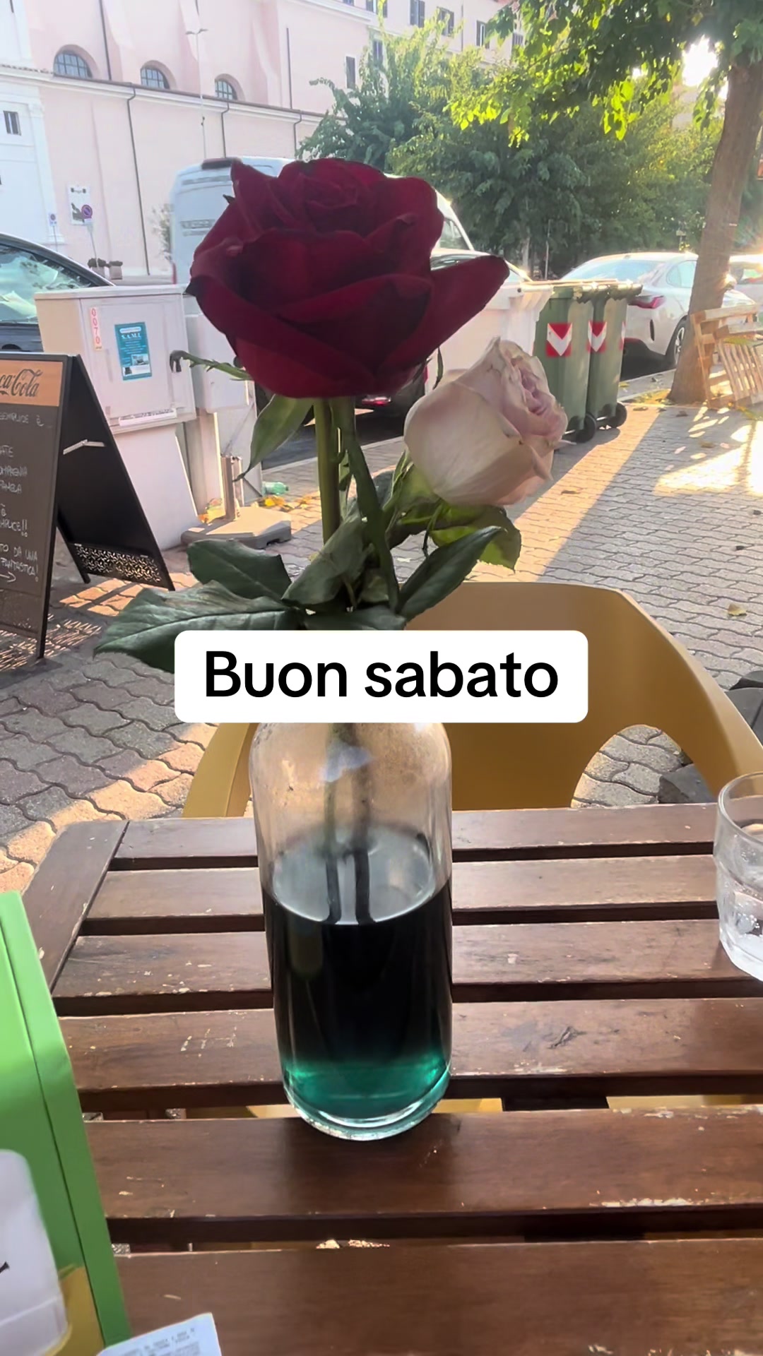 @Luna Chiena