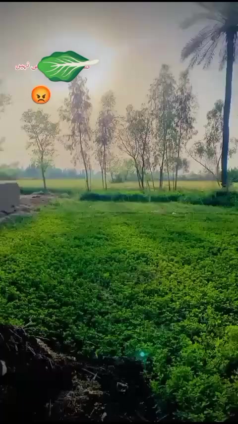 @asad bhakal بھ۔کل