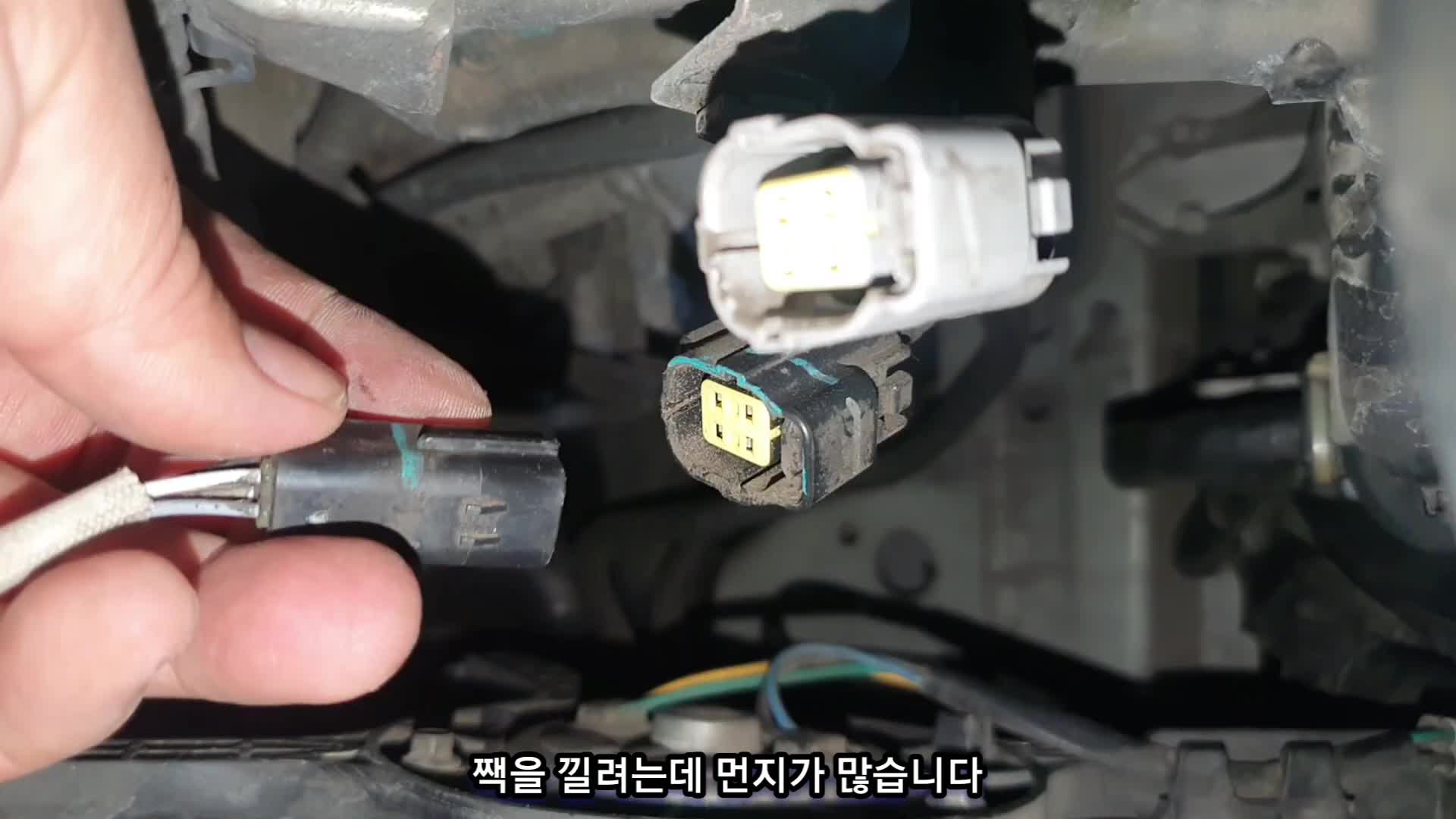 @귀여운친구