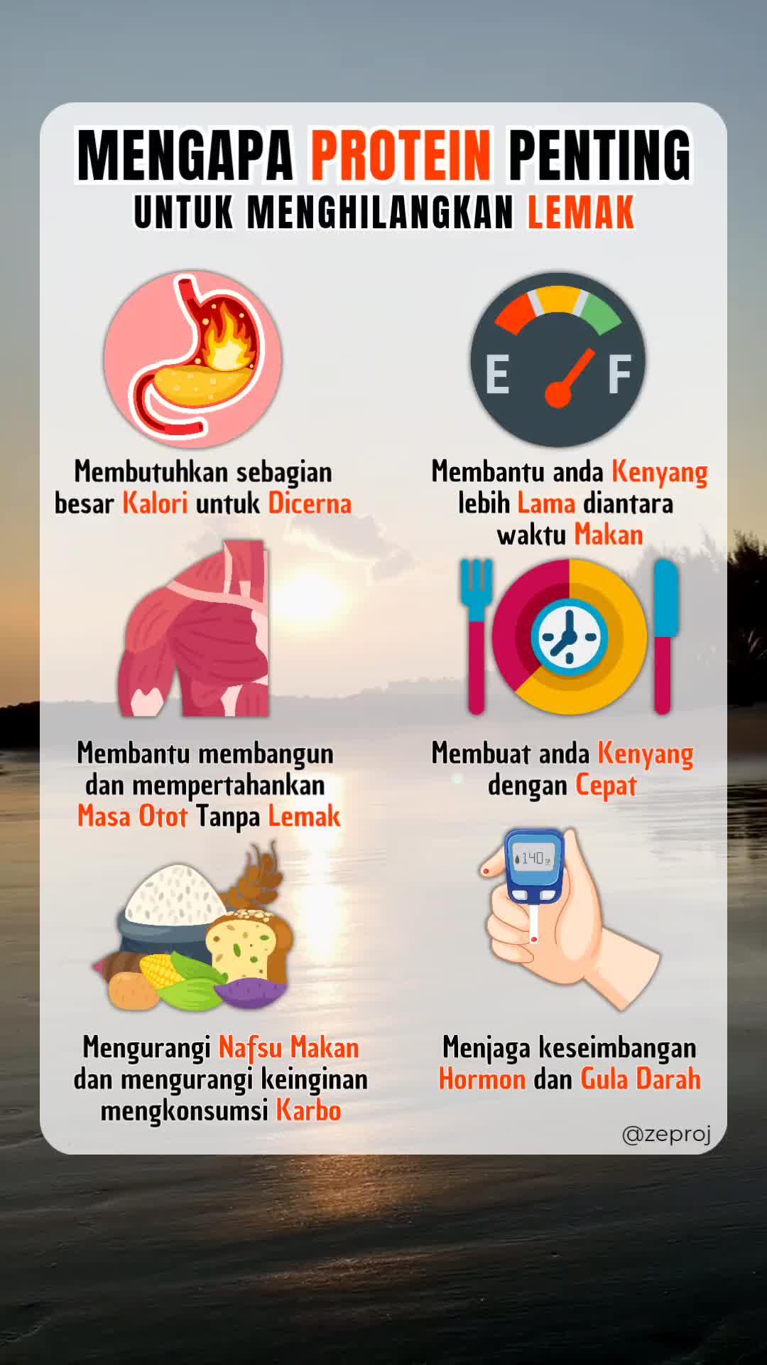 @ZeProj
