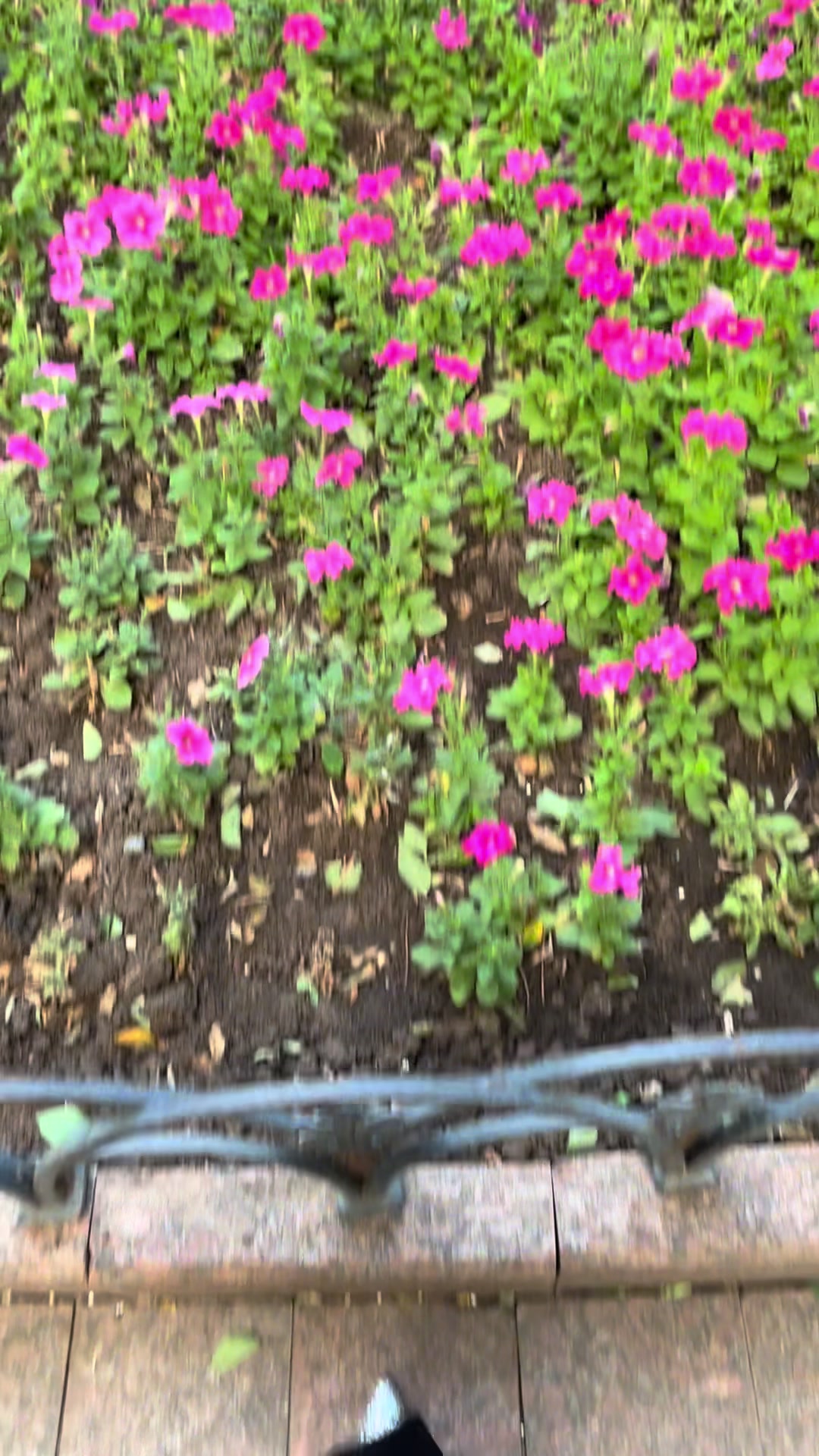 @yourkarma178