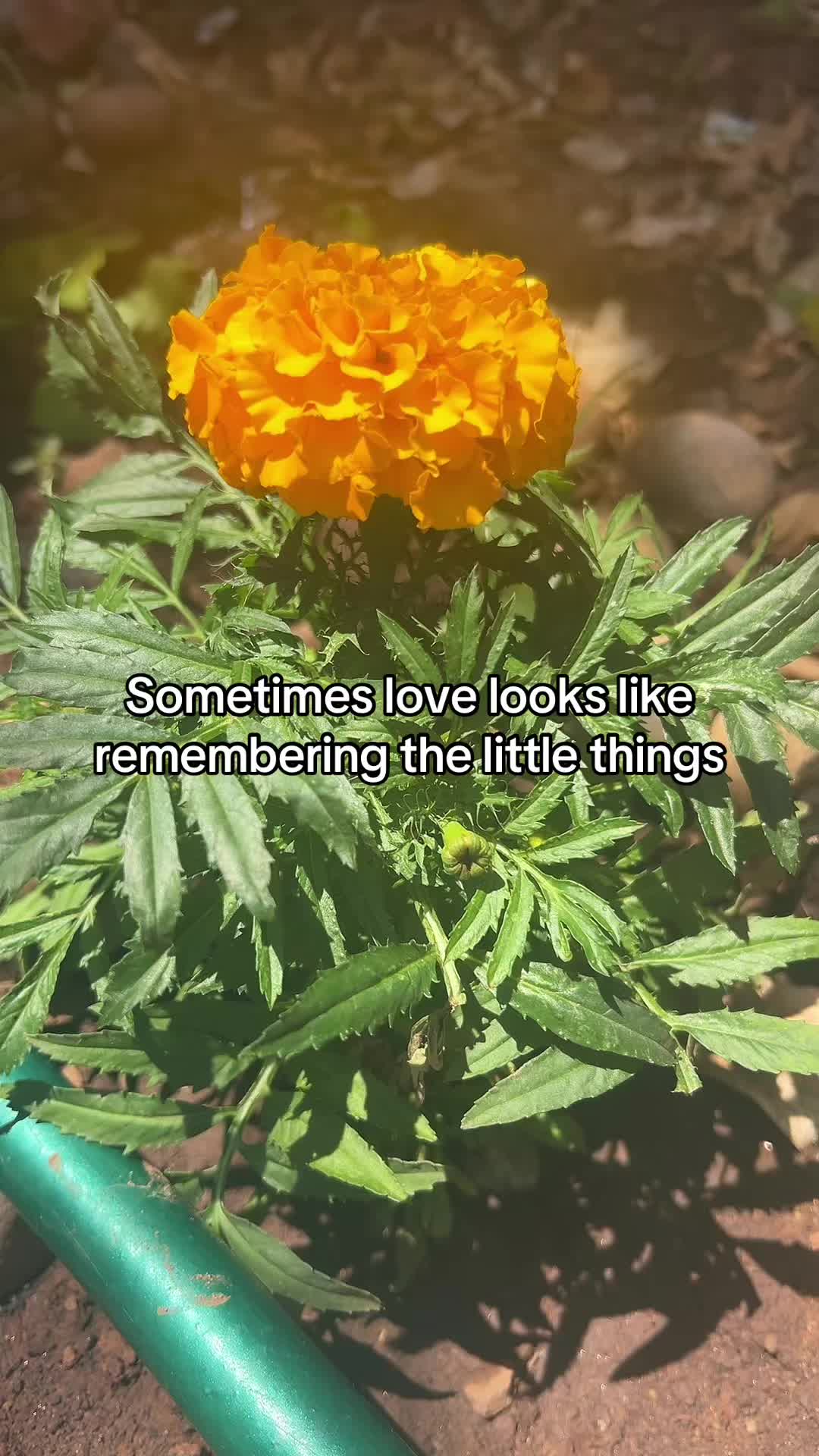 @Nay_rockks