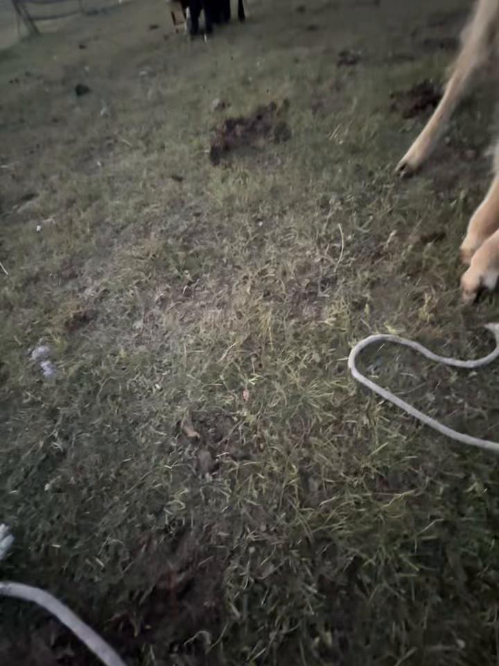 @Ахбота ྀིྀི