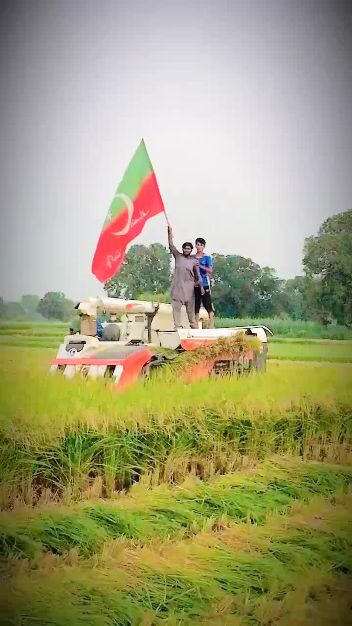 @ANEESMAYOSAB804